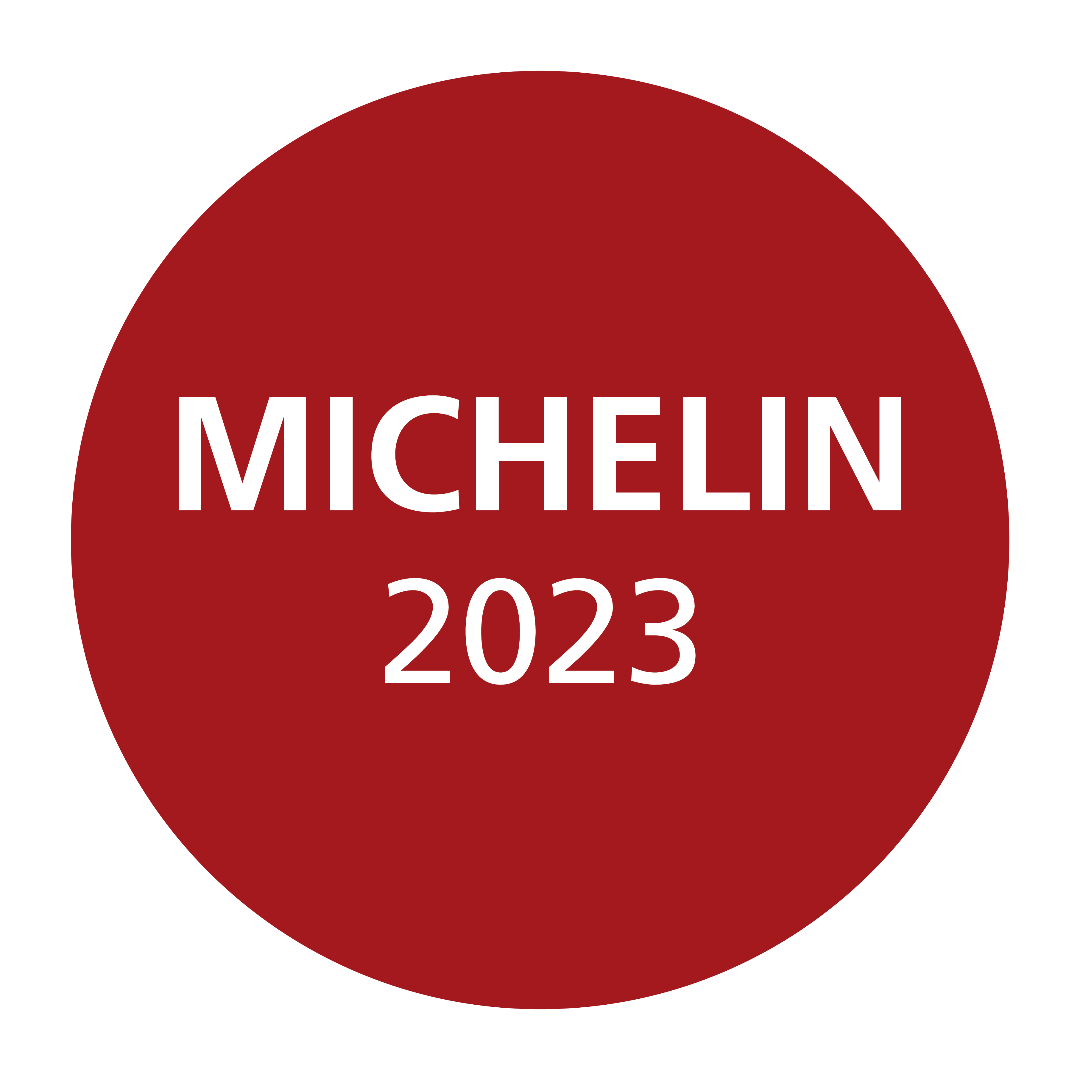 MICHELIN ViDi